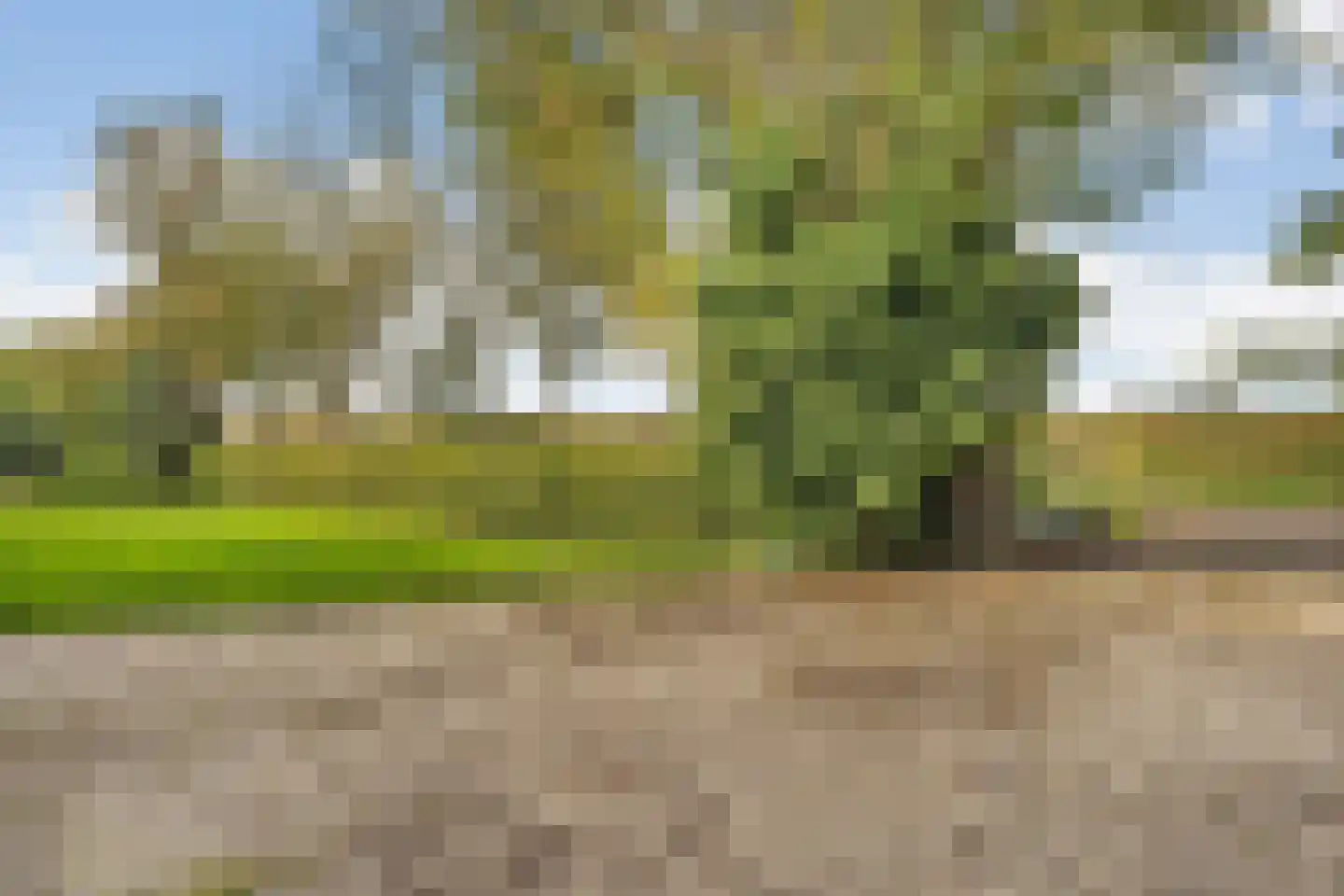 Kikkerij 1 Giethoorn thumbnail 78