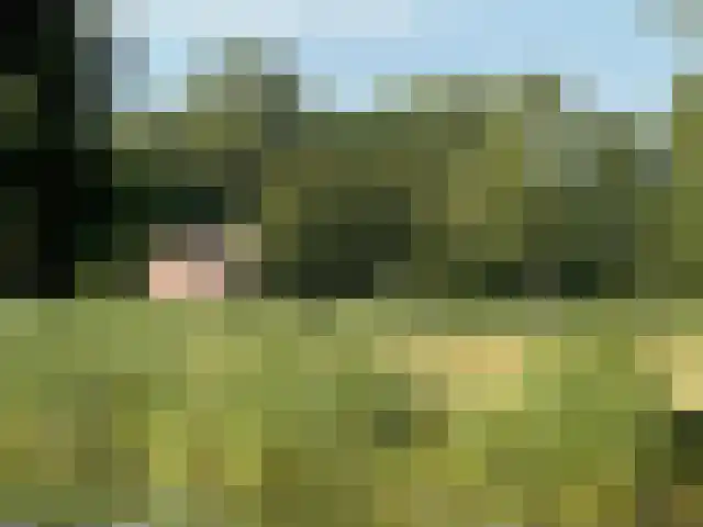 Kikkerij 1 Giethoorn thumbnail 79