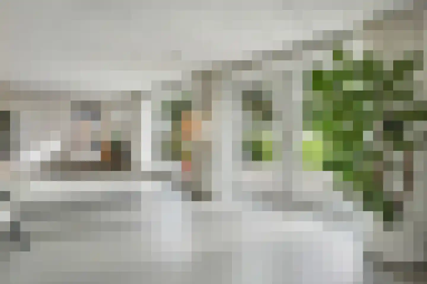 Kikkerij 1 Giethoorn thumbnail 8