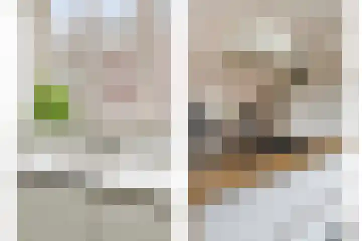 Kikkeroever 3 Roelofarendsveen thumbnail 10