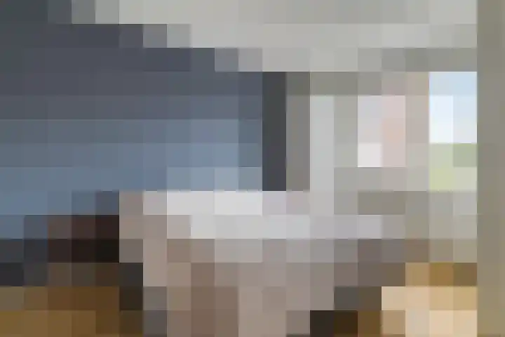 Kikkeroever 3 Roelofarendsveen thumbnail 11