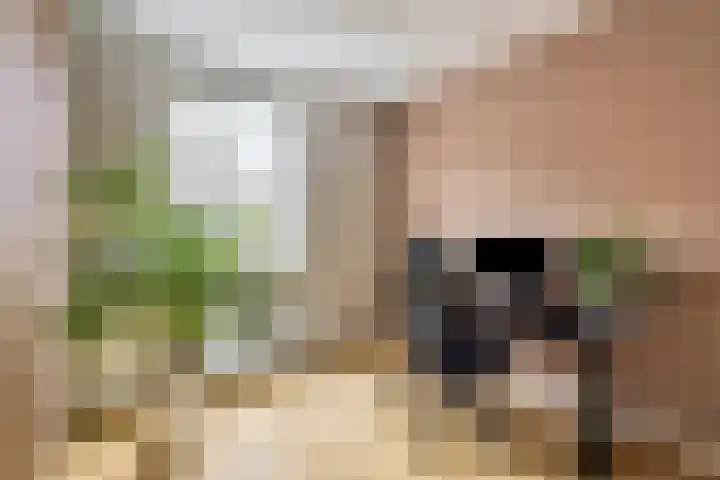 Kikkeroever 3 Roelofarendsveen thumbnail 12