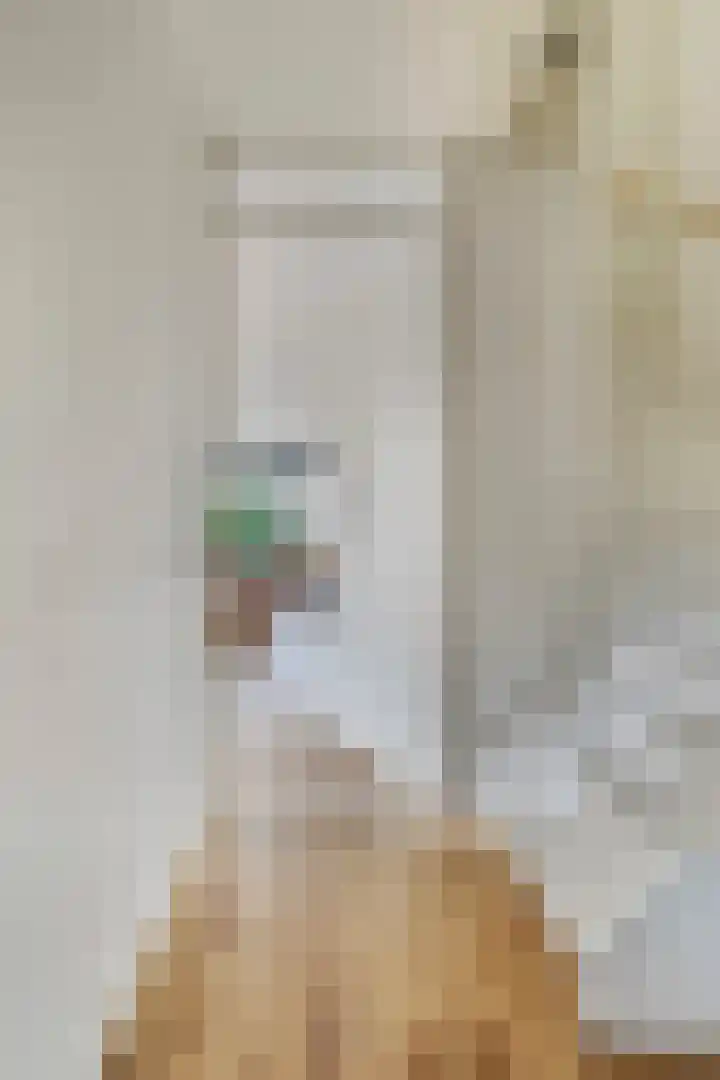 Kikkeroever 3 Roelofarendsveen thumbnail 4
