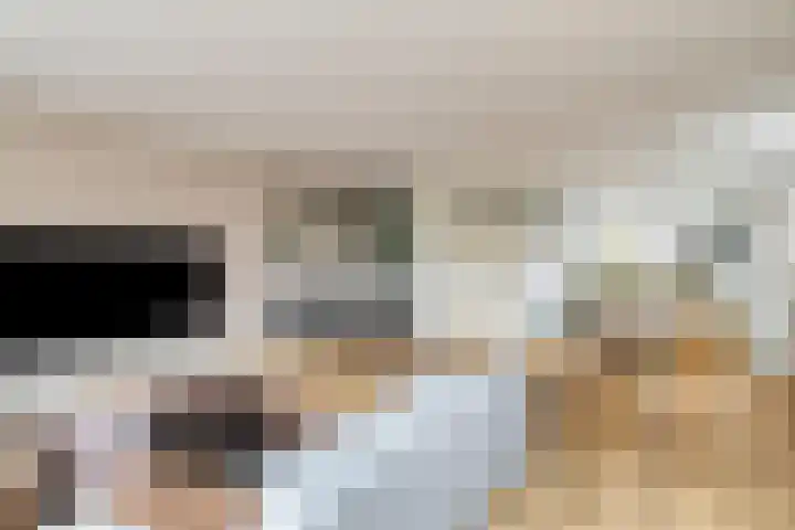 Kikkeroever 3 Roelofarendsveen thumbnail 6