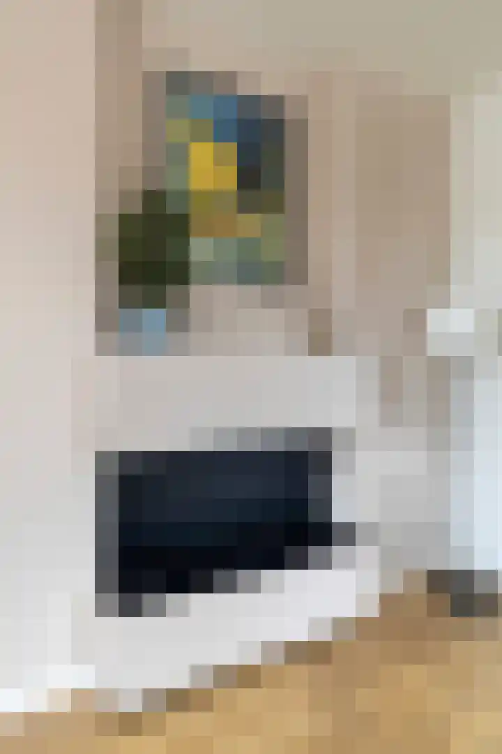 Kikkeroever 3 Roelofarendsveen thumbnail 7