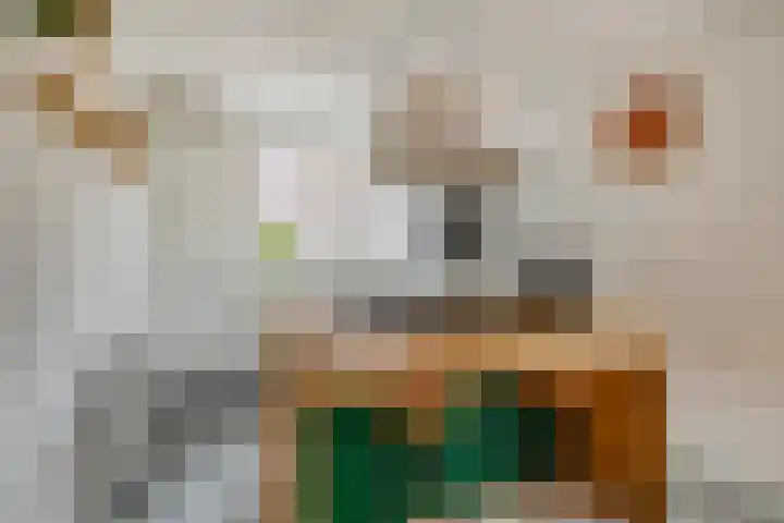 Kikkeroever 3 Roelofarendsveen thumbnail 9