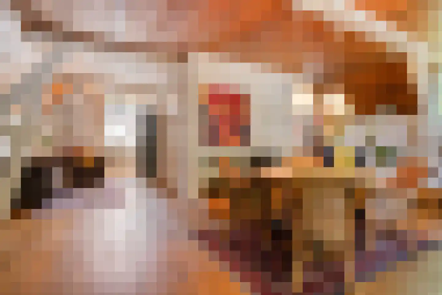 Kikkerstraat 4 Heusden thumbnail 25