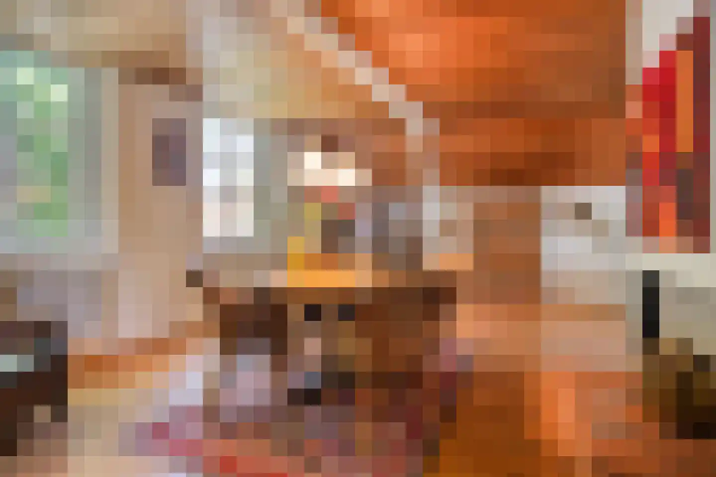 Kikkerstraat 4 Heusden thumbnail 26