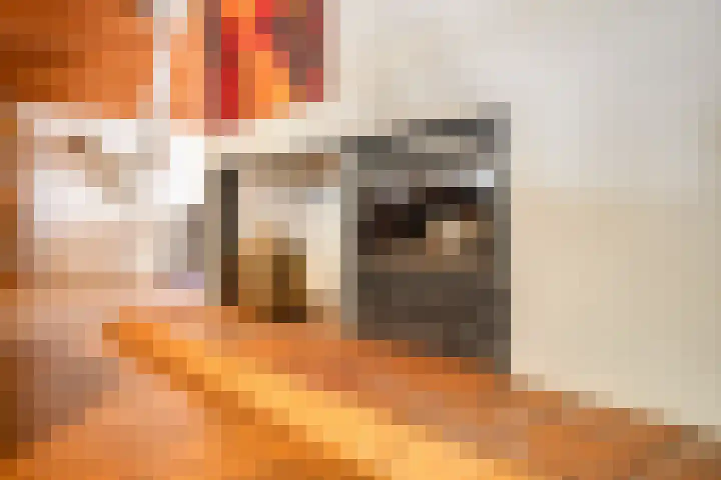 Kikkerstraat 4 Heusden thumbnail 29
