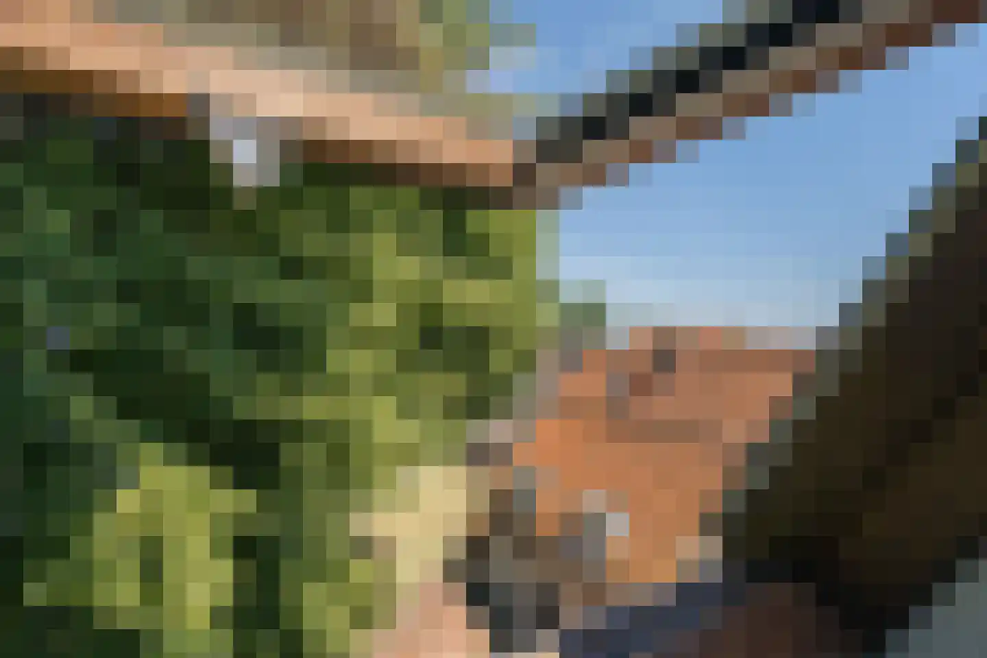 Kikkerstraat 4 Heusden thumbnail 34