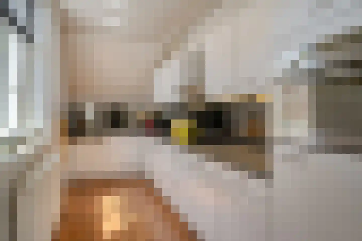Kikkerstraat 4 Heusden thumbnail 34