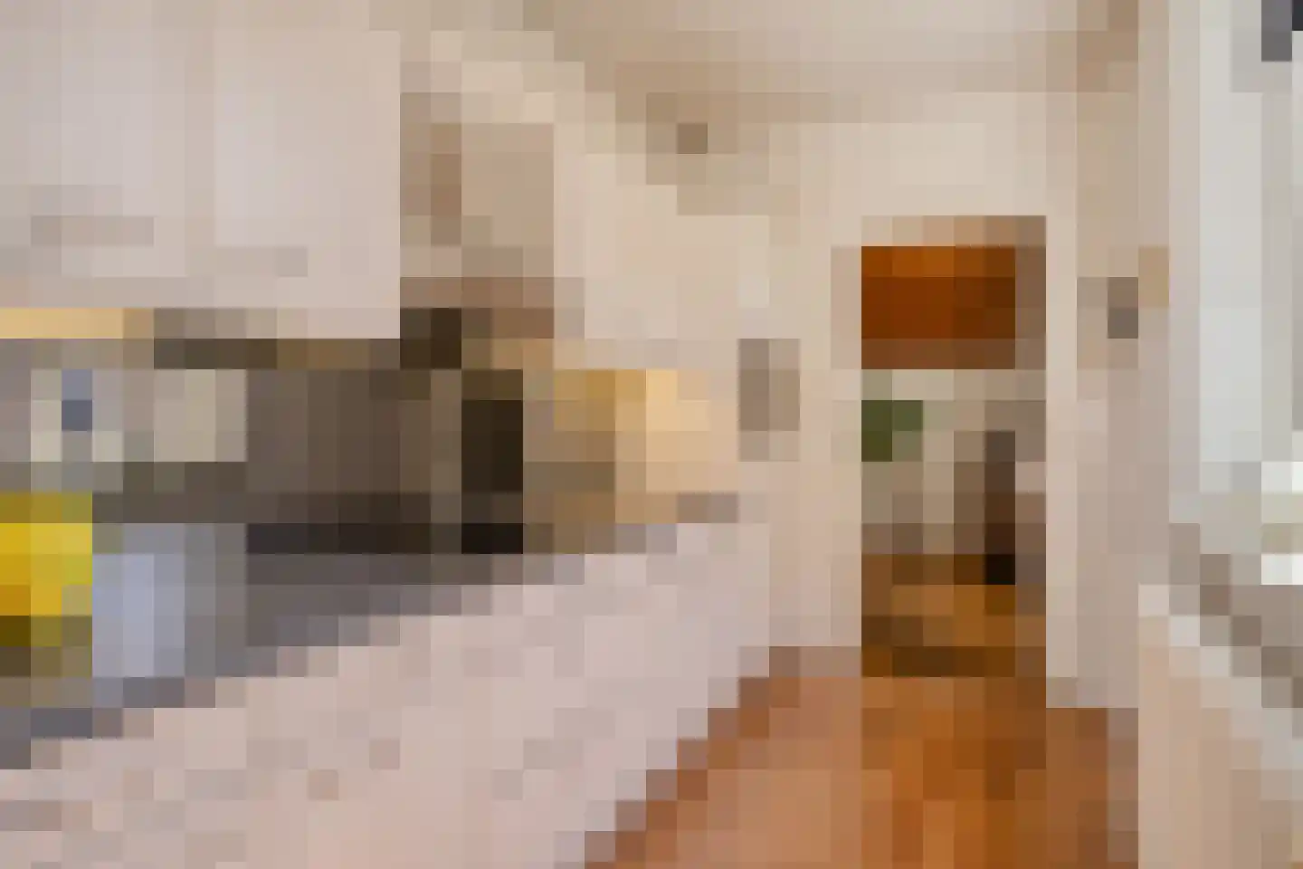 Kikkerstraat 4 Heusden thumbnail 35