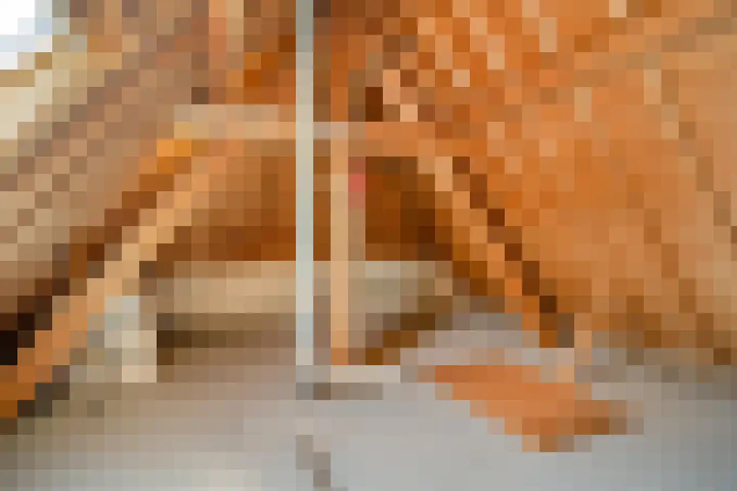 Kikkerstraat 4 Heusden thumbnail 37