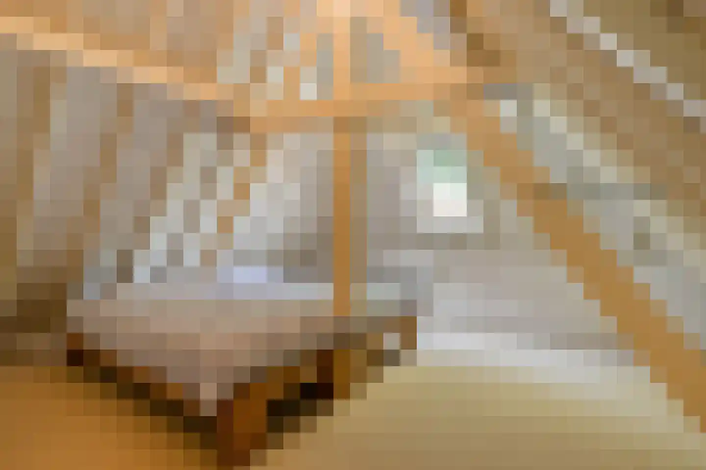 Kikkerstraat 4 Heusden thumbnail 38