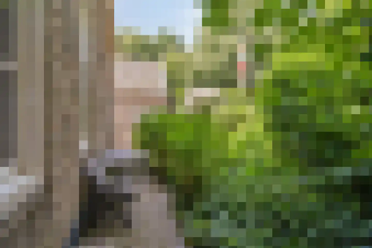Kikkerstraat 4 Heusden thumbnail 41