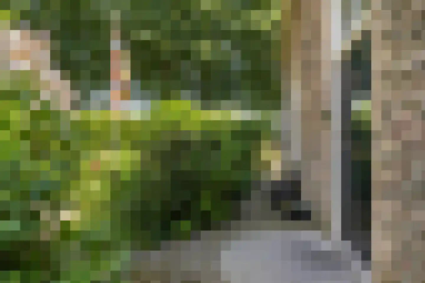 Kikkerstraat 4 Heusden thumbnail 45
