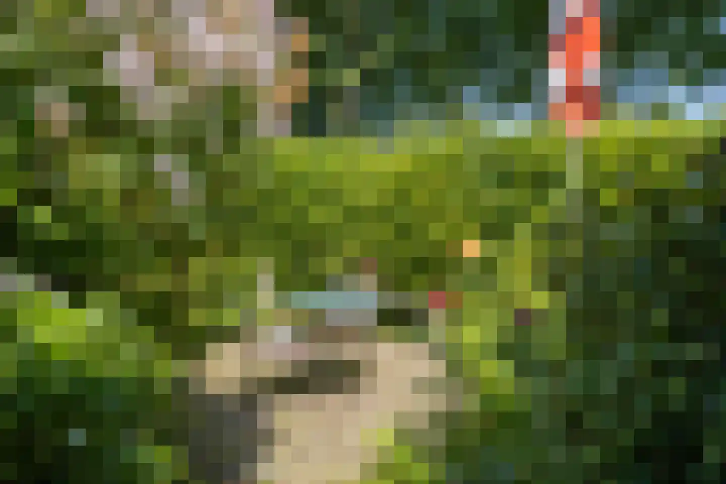 Kikkerstraat 4 Heusden thumbnail 46