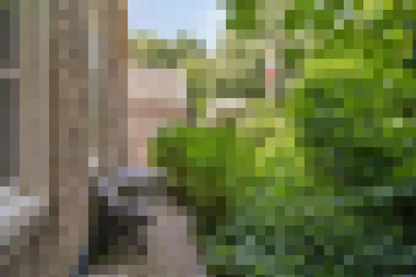Kikkerstraat 4 Heusden thumbnail 47