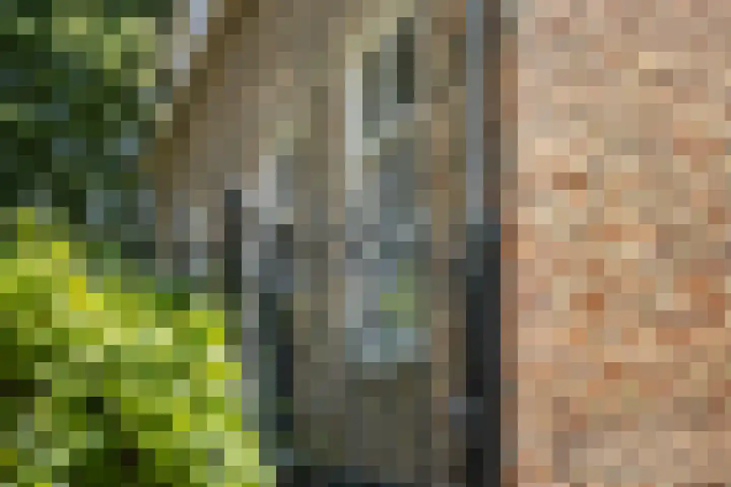 Kikkerstraat 4 Heusden thumbnail 49