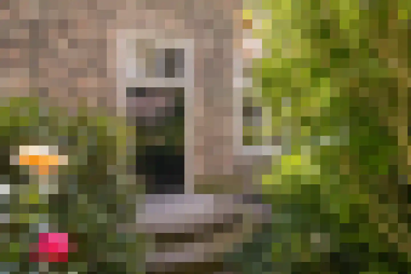 Kikkerstraat 4 Heusden thumbnail 6