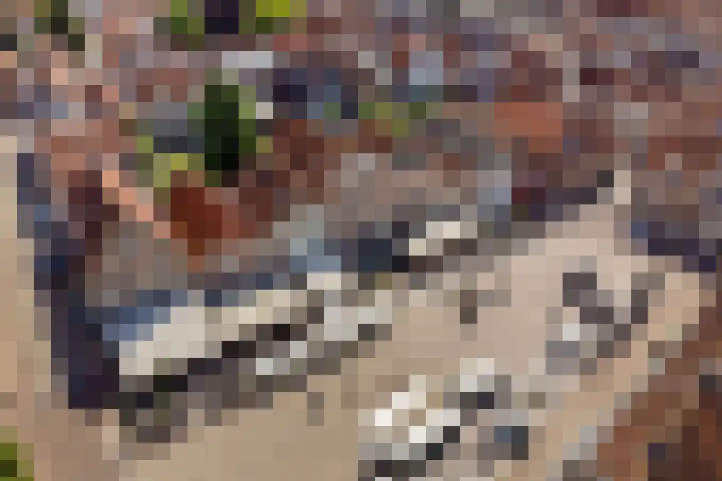 Kikkerstraat 4 Heusden thumbnail 60