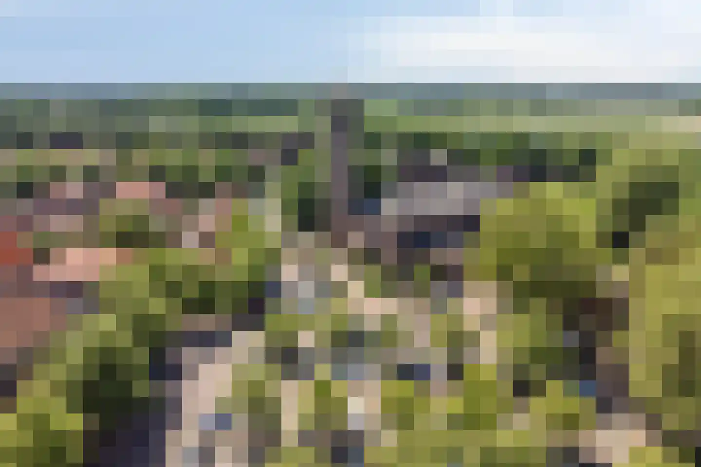 Kikkerstraat 4 Heusden thumbnail 63