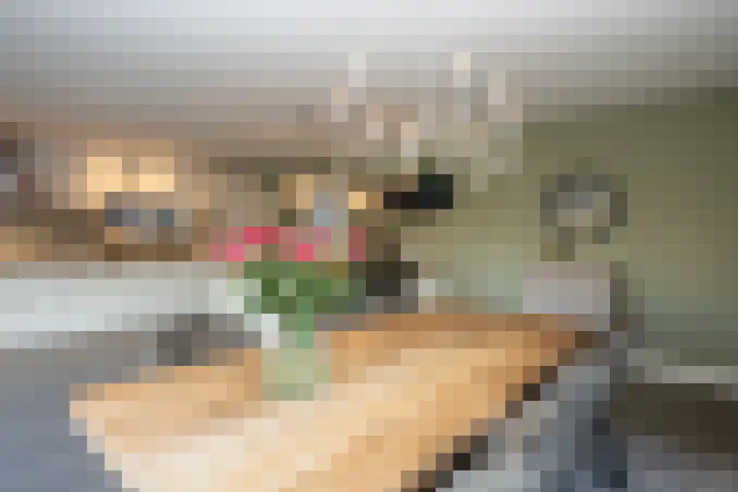 Kikkertstraat 17 De Cocksdorp thumbnail 22