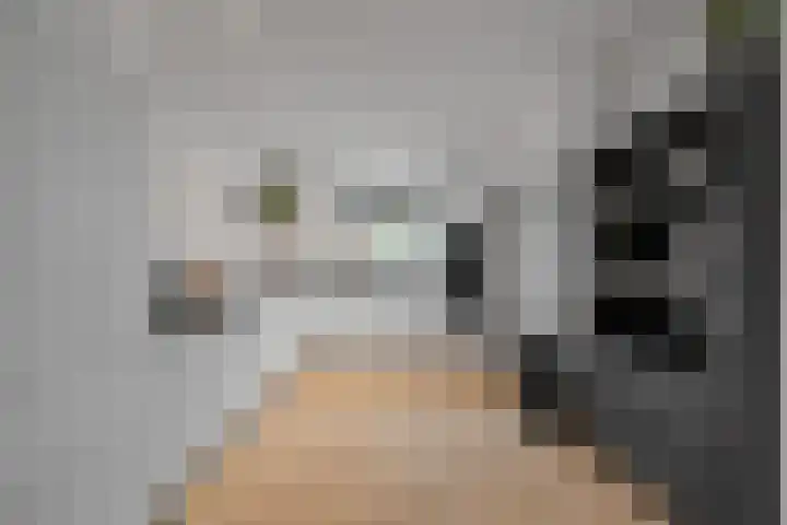 Kikkertstraat 4 D De Cocksdorp thumbnail 20