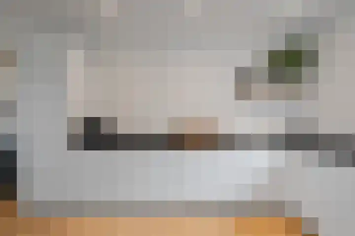 Kikkertstraat 4 D De Cocksdorp thumbnail 21