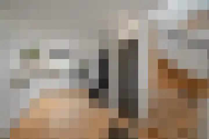 Kikkertstraat 4 D De Cocksdorp thumbnail 22