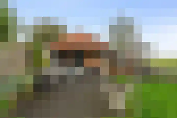 Kikkertstraat 4 D De Cocksdorp thumbnail 23