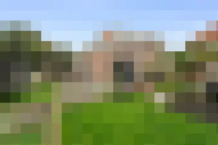 Kikkertstraat 4 D De Cocksdorp thumbnail 24