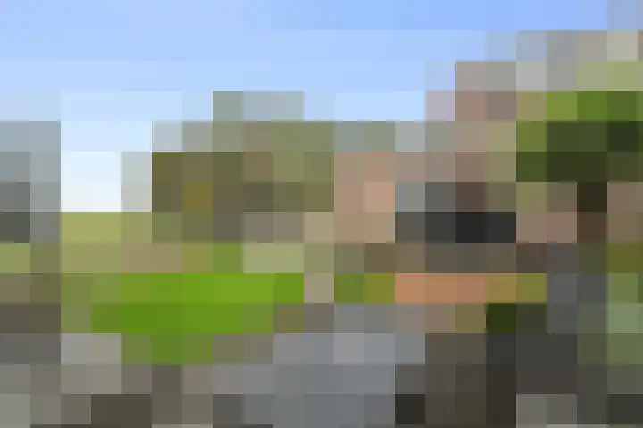Kikkertstraat 4 D De Cocksdorp thumbnail 25