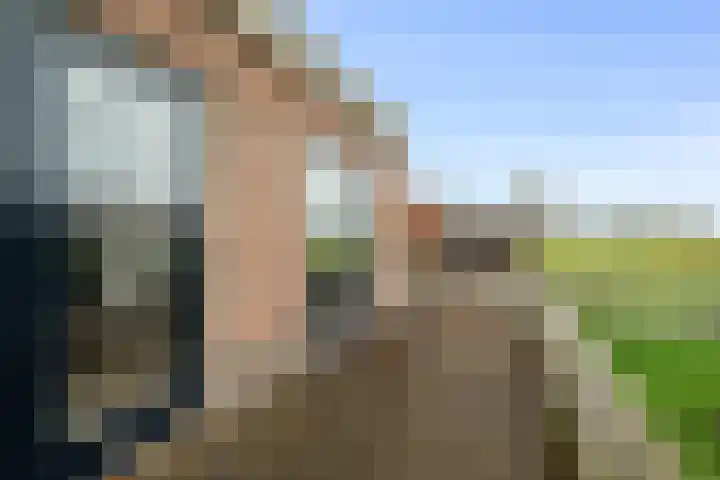 Kikkertstraat 4 D De Cocksdorp thumbnail 26