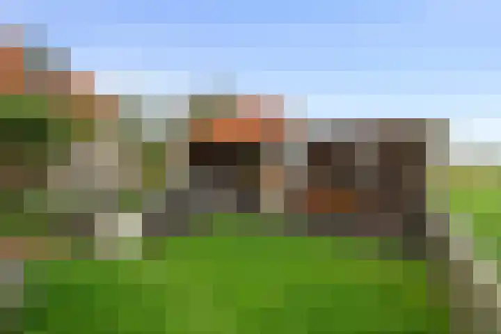 Kikkertstraat 4 D De Cocksdorp thumbnail 27