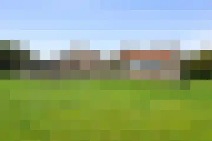 Kikkertstraat 4 D De Cocksdorp thumbnail 28