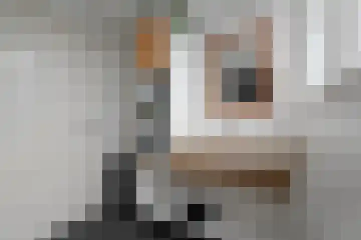 Kikkertstraat 4 D De Cocksdorp thumbnail 33