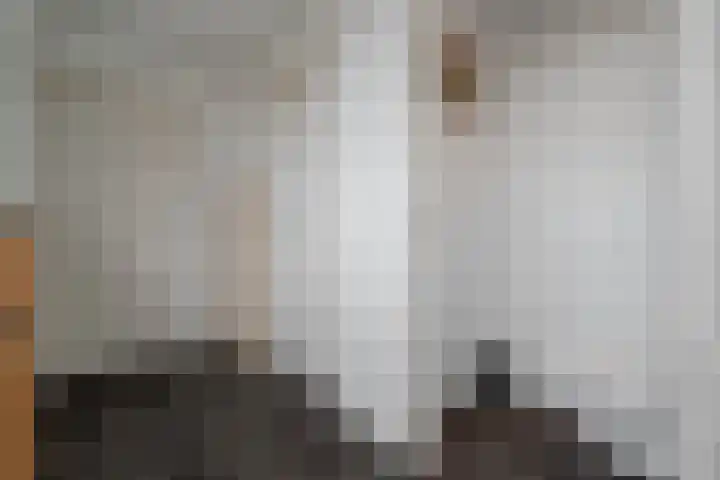 Kikkertstraat 4 D De Cocksdorp thumbnail 36