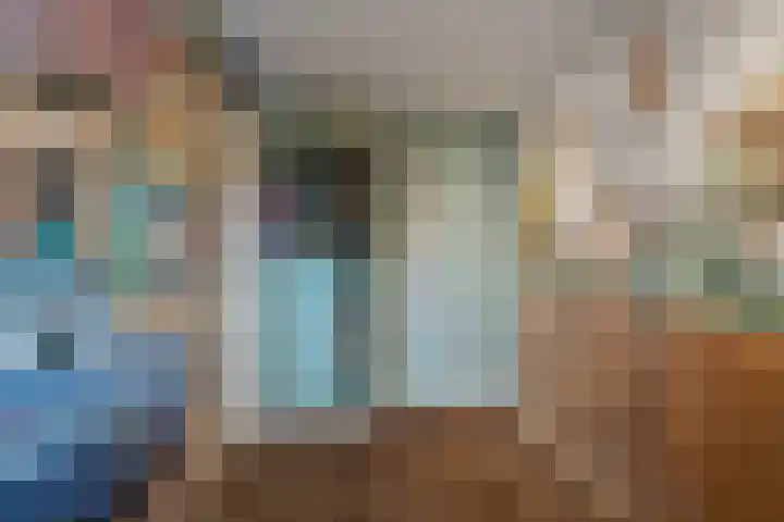 Kikkertstraat 4 D De Cocksdorp thumbnail 42