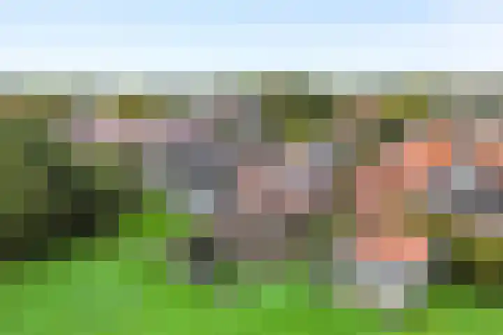 Kikkertstraat 4 D De Cocksdorp thumbnail 5