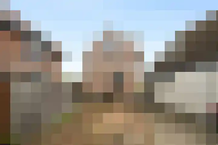 Kikkertstraat 4 D De Cocksdorp thumbnail 6