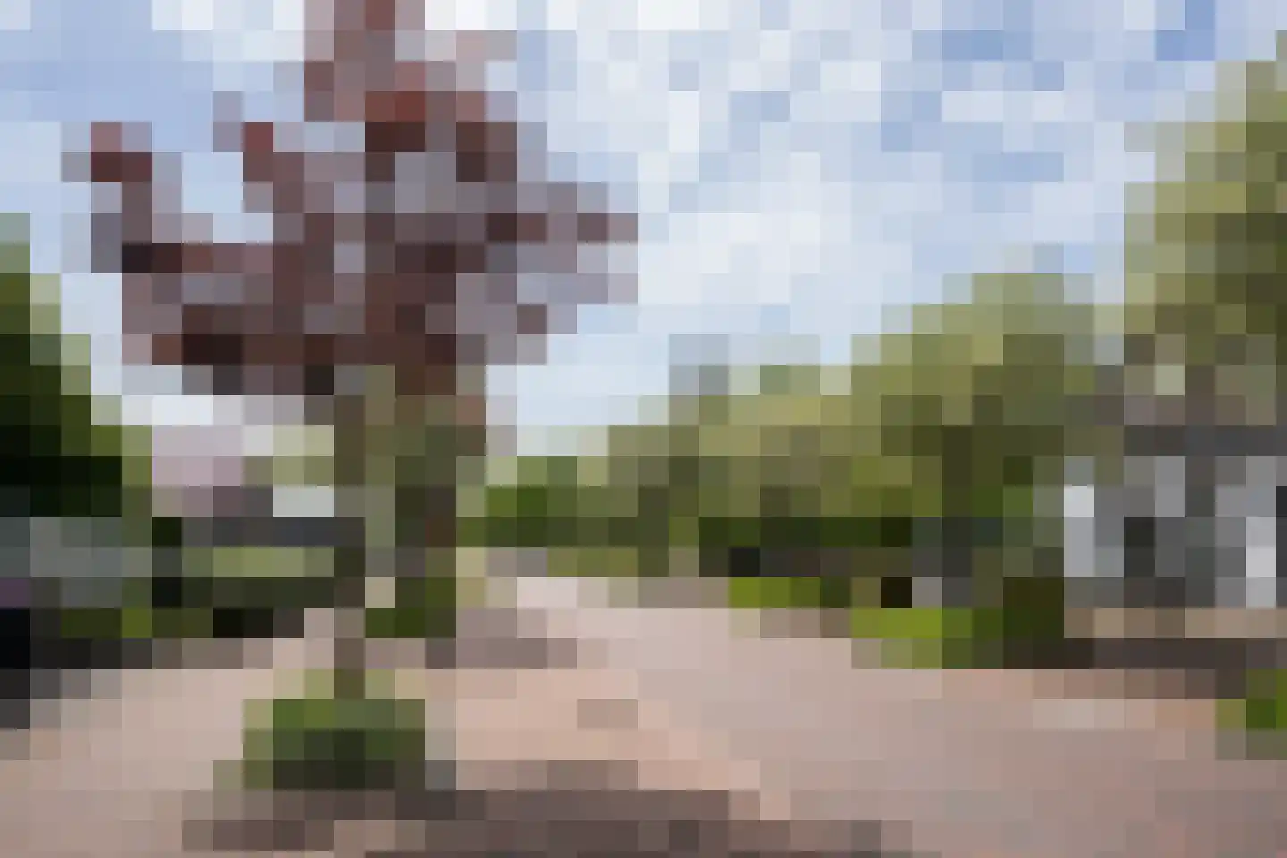 Kikkertstraat 6 J De Cocksdorp foto 3