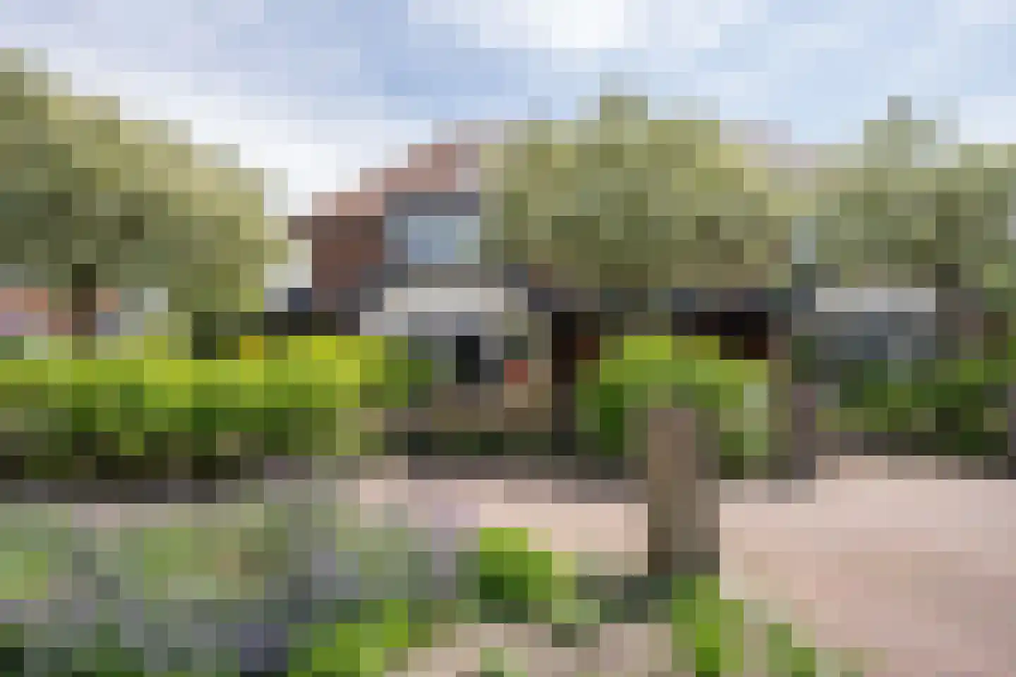 Kikkertstraat 6 J De Cocksdorp thumbnail 4