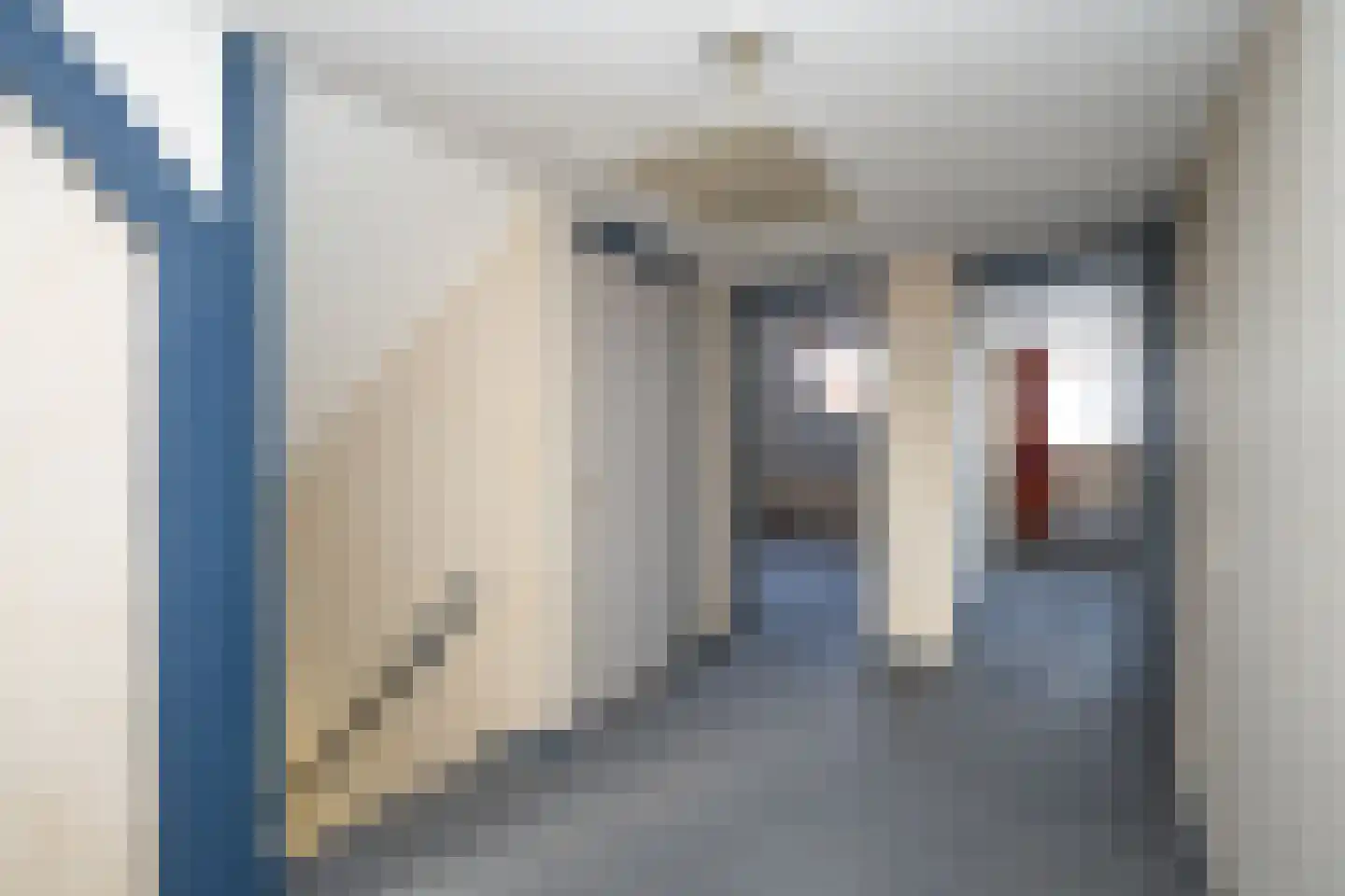 Kikkertstraat 71 De Cocksdorp thumbnail 36