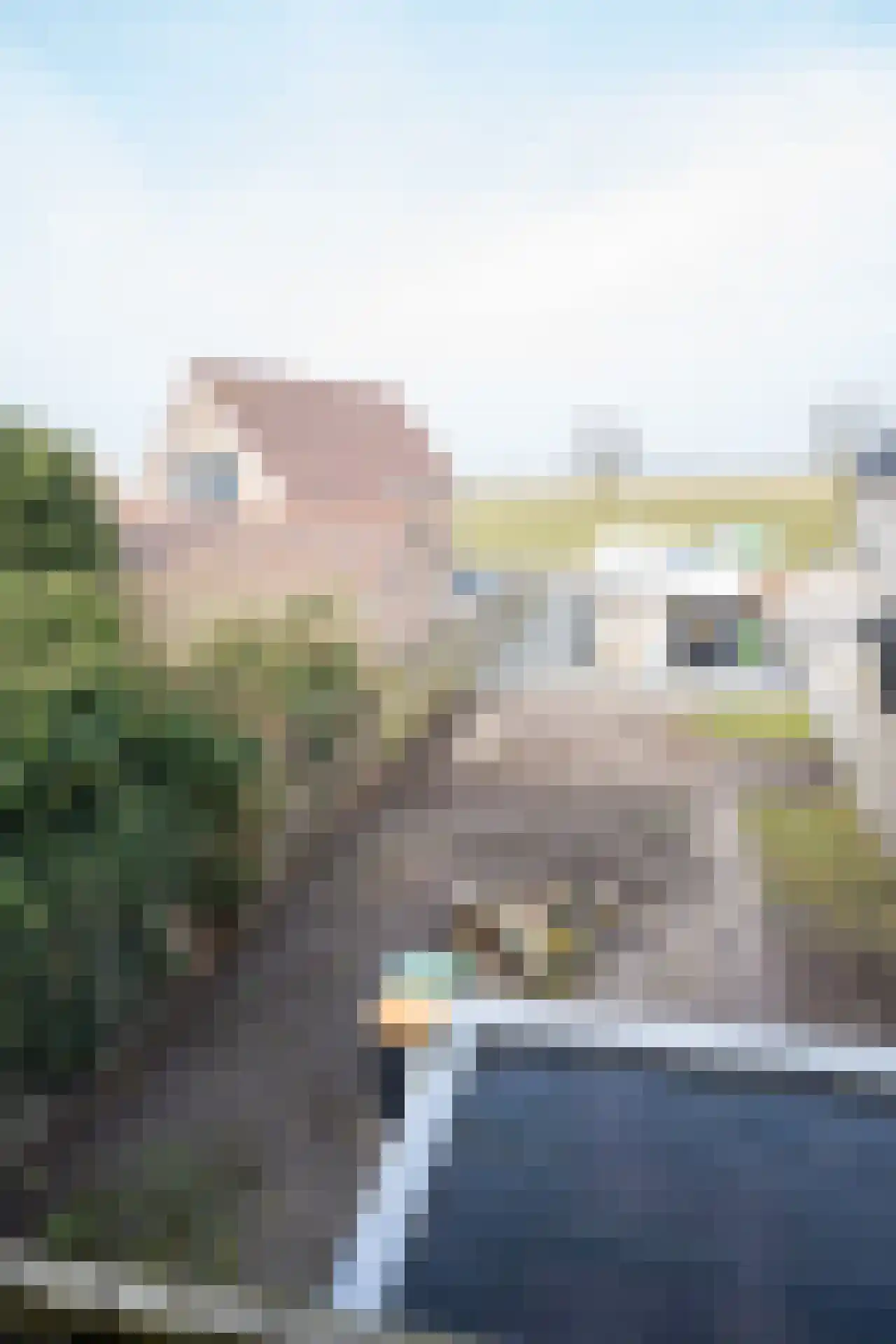 Kikkertstraat 71 De Cocksdorp thumbnail 42
