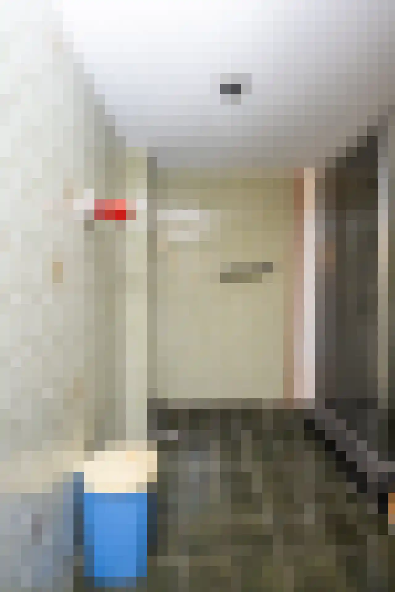 Kikkertstraat 71 De Cocksdorp thumbnail 46
