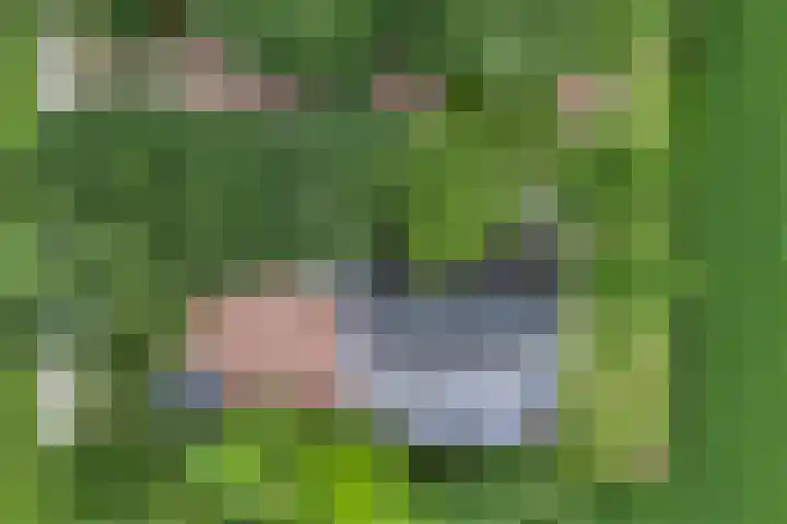 Kikkertsveldweg 1 De Krim thumbnail 35
