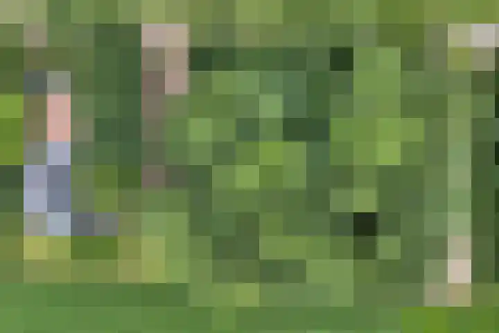Kikkertsveldweg 1 De Krim thumbnail 36