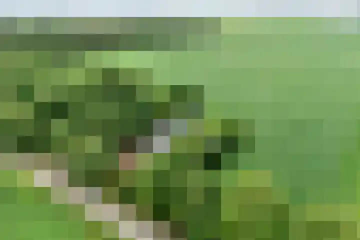 Kikkertsveldweg 1 De Krim thumbnail 37