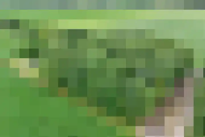 Kikkertsveldweg 1 De Krim thumbnail 38